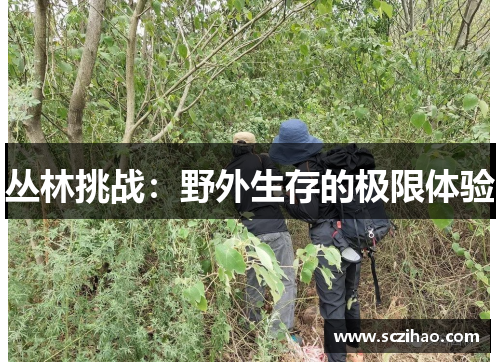 丛林挑战：野外生存的极限体验