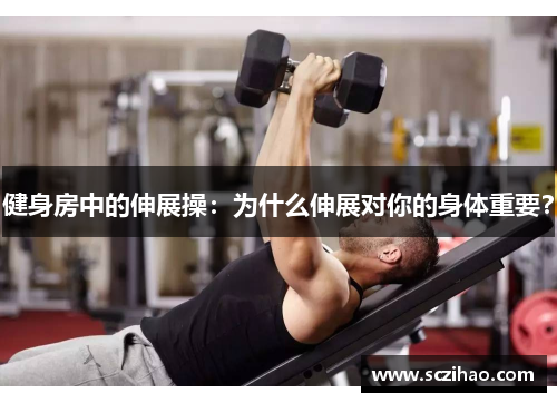 健身房中的伸展操：为什么伸展对你的身体重要？